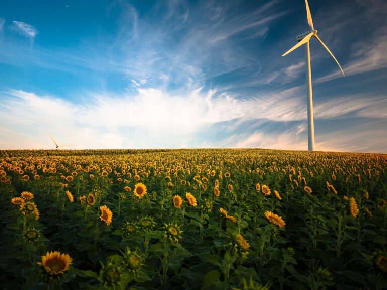 wind turbines in a green field with sunflowers